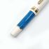 日本 Sailor 寫樂 Professional Gear Slim Mini 14K Rencontre 鋼筆（Bleu Ciel 碧空藍）