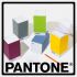 Pantone 便條紙（八色可選）